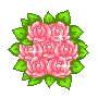bouquet of roses
