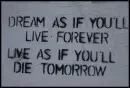 Dream ...