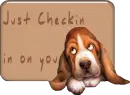 checkin in