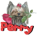 Perry
