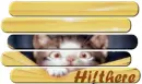 hi! there