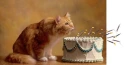 cat blows out birthday candles
