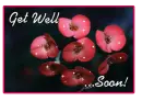 Get Well Soon