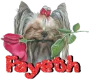 Fayeth