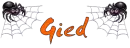 Gied