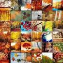 fall icons