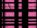 pink and black