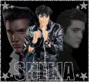 Silver Elvis Shelia