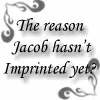 Jacob Black