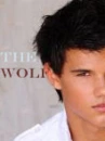 The Wolf