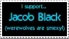 I Support Jaocb Black