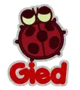 Gied