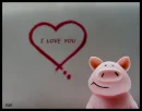 i love you