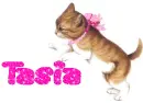  Tasia 