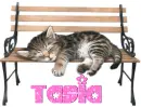  Tasia 