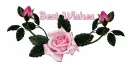 Best Wishes