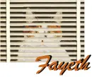 Fayeth