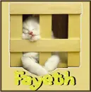 Fayeth