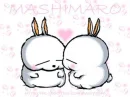 mashimaro