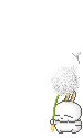 mashimaro