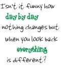 Day By Day