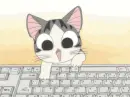 kitty keyboard