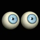 eyes
