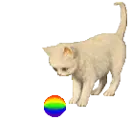 cat ball