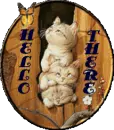 Kitten Greetings