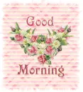 Roses good morning