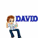 david
