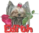 Edith