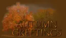 Autum Wishing