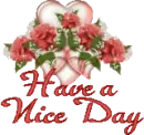 nice day