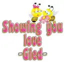 bees showin luv gied