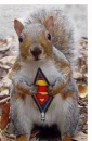 Super squirrel