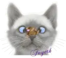 Fayeth