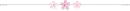 pink flower divider