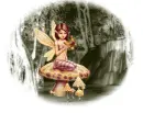 fairylands