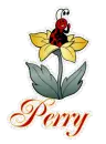 Perry ladybug