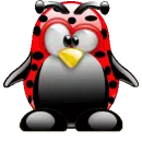 ladybug judy