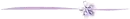 purple flower