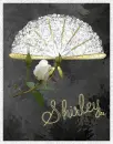 Shirley