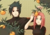 sasusaku