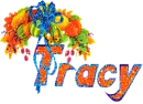 Tracy