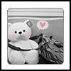 cute bear
