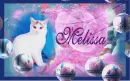 Melissa-Cat with bubbles