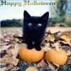 happy halloween