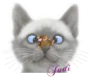 Judi