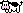 cute cow